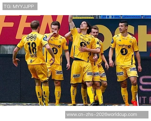 罗森博格与维京比赛前瞻分析及胜负预测详解